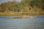 Safari Arba Minch -146.jpg