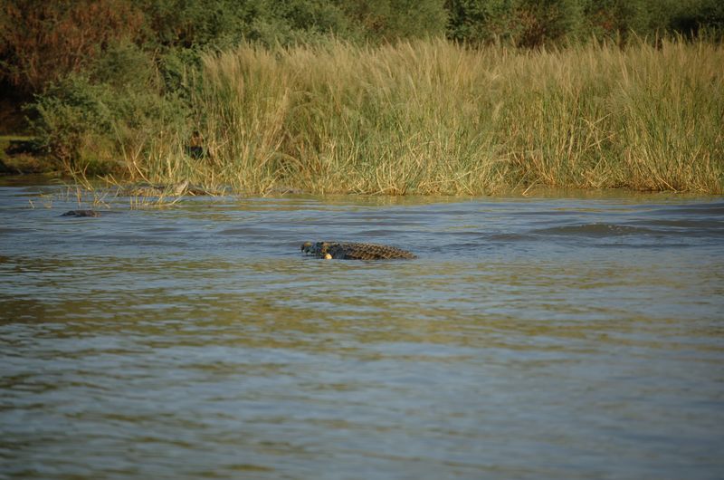 Safari Arba Minch -147.jpg