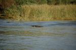 Safari Arba Minch -147.jpg