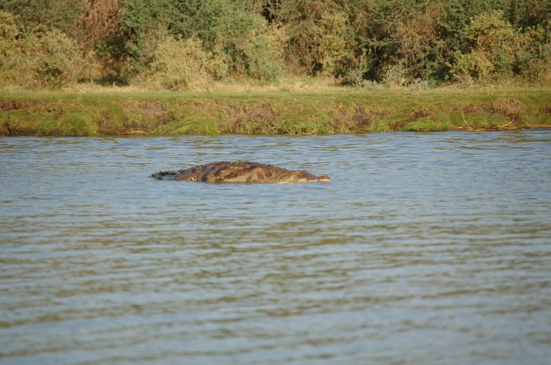 Safari Arba Minch -148.jpg