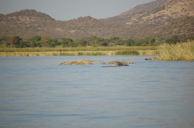 Safari Arba Minch -151.jpg