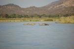 Safari Arba Minch -151.jpg