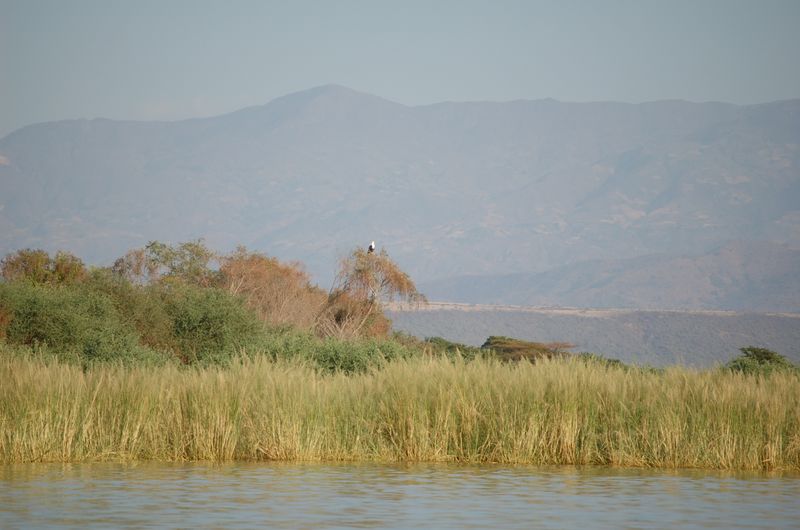 Safari Arba Minch -152.jpg
