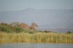 Safari Arba Minch -152.jpg