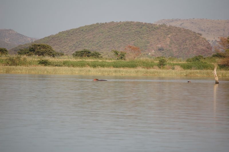 Safari Arba Minch -154.jpg