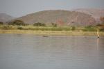 Safari Arba Minch -154.jpg