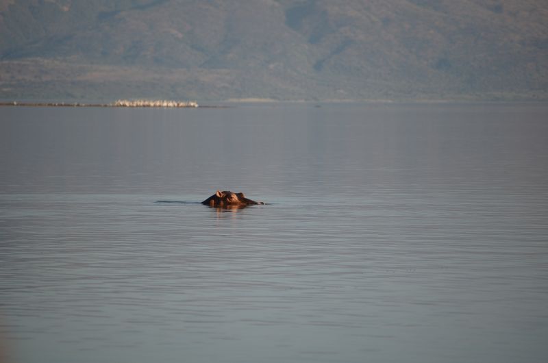 Safari Arba Minch -155.jpg