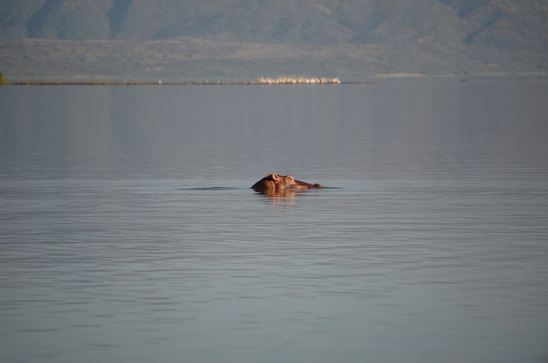 Safari Arba Minch -156.jpg