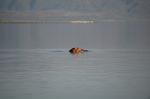 Safari Arba Minch -156.jpg