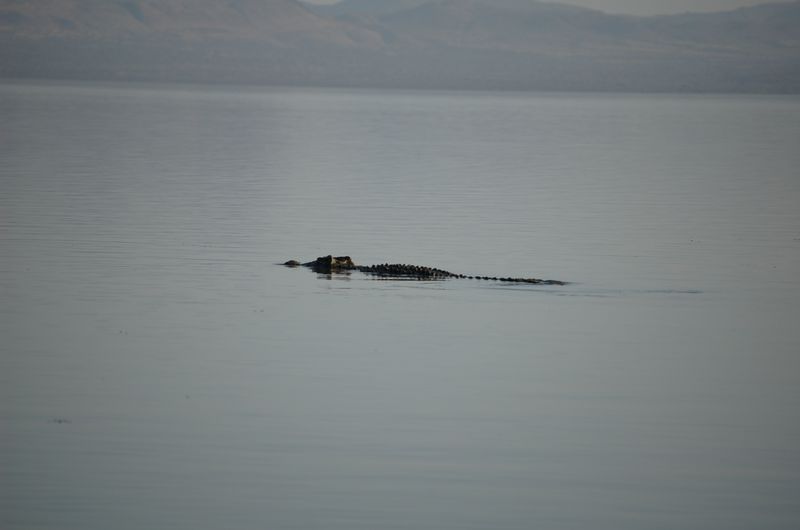 Safari Arba Minch -157.jpg