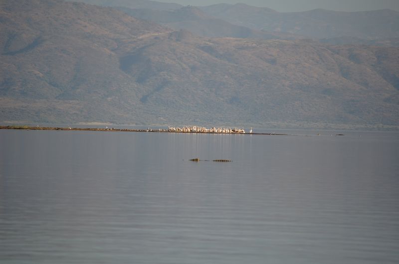Safari Arba Minch -159.jpg