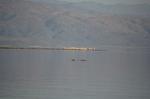 Safari Arba Minch -159.jpg