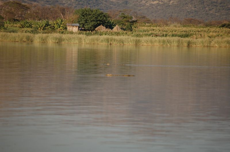 Safari Arba Minch -160.jpg
