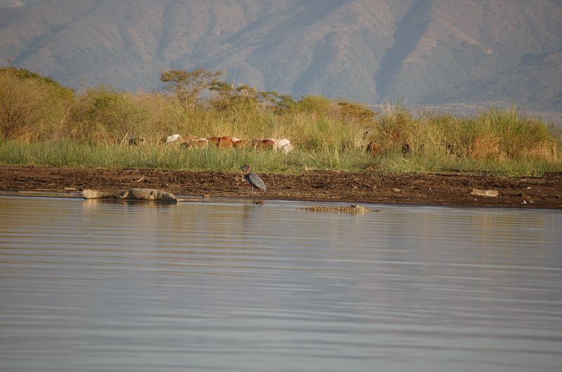 Safari Arba Minch -161.jpg
