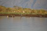 Safari Arba Minch -161.jpg