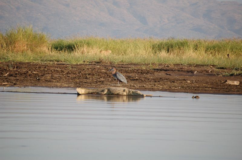 Safari Arba Minch -162.jpg
