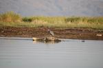 Safari Arba Minch -162.jpg
