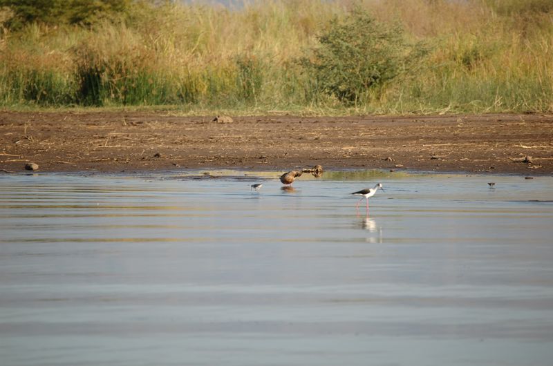 Safari Arba Minch -164.jpg