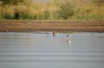 Safari Arba Minch -164.jpg
