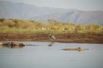 Safari Arba Minch -165.jpg