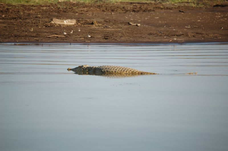 Safari Arba Minch -166.jpg