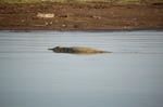 Safari Arba Minch -166.jpg