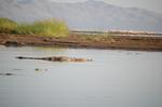 Safari Arba Minch -167.jpg