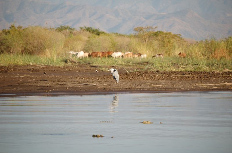 Safari Arba Minch -168.jpg