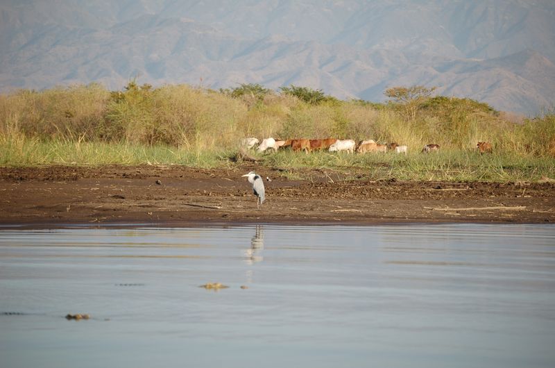 Safari Arba Minch -169.jpg