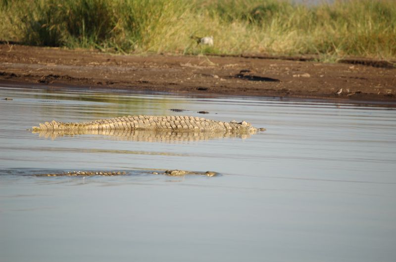 Safari Arba Minch -170.jpg