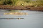 Safari Arba Minch -170.jpg