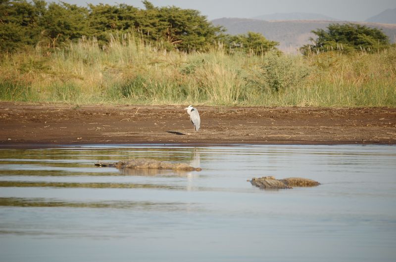 Safari Arba Minch -171.jpg