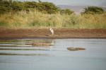 Safari Arba Minch -171.jpg