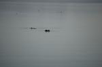 Safari Arba Minch -172.jpg