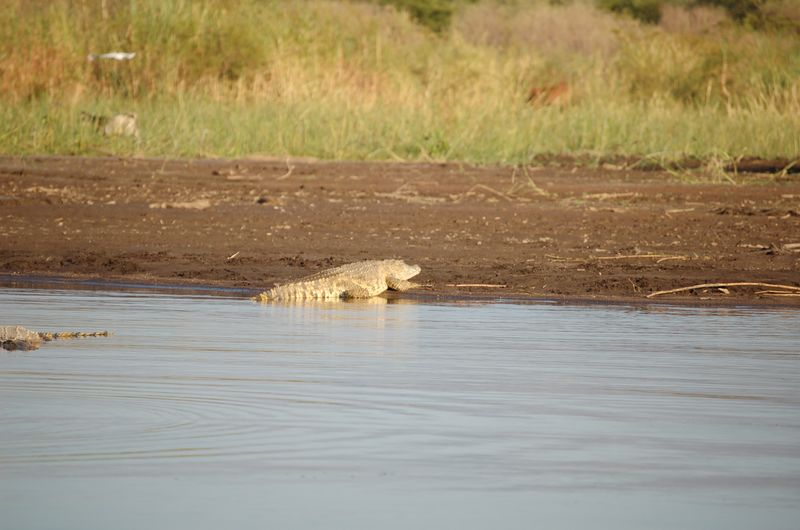 Safari Arba Minch -173.jpg