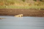 Safari Arba Minch -173.jpg
