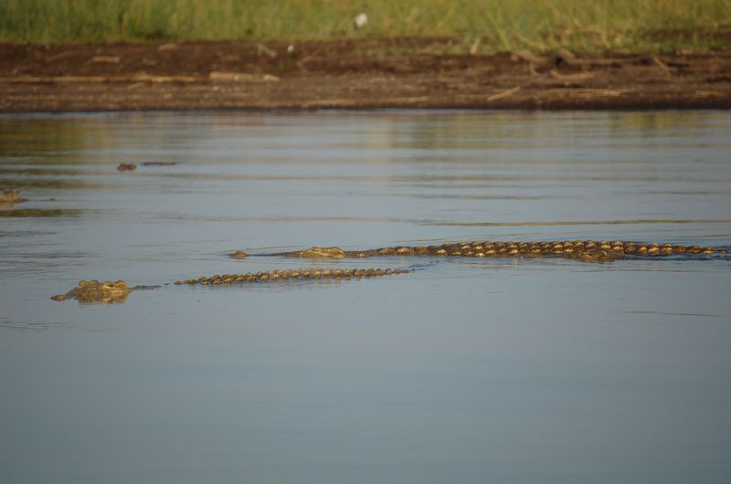 Safari Arba Minch -174.jpg