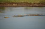 Safari Arba Minch -174.jpg