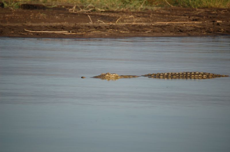 Safari Arba Minch -175.jpg