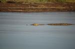 Safari Arba Minch -175.jpg