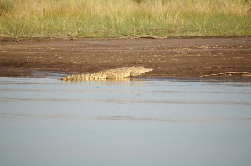Safari Arba Minch -176.jpg