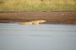 Safari Arba Minch -176.jpg