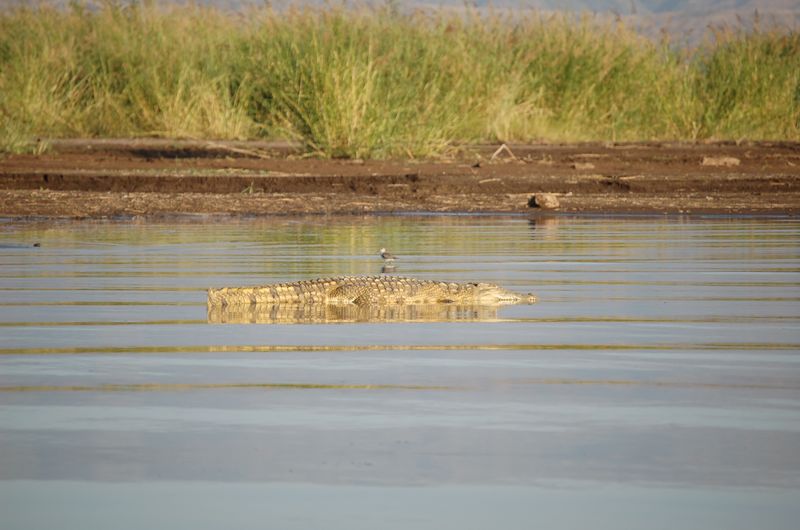 Safari Arba Minch -177.jpg