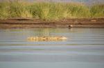 Safari Arba Minch -177.jpg