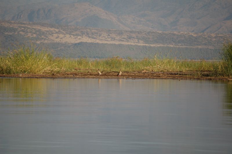 Safari Arba Minch -178.jpg