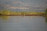 Safari Arba Minch -178.jpg