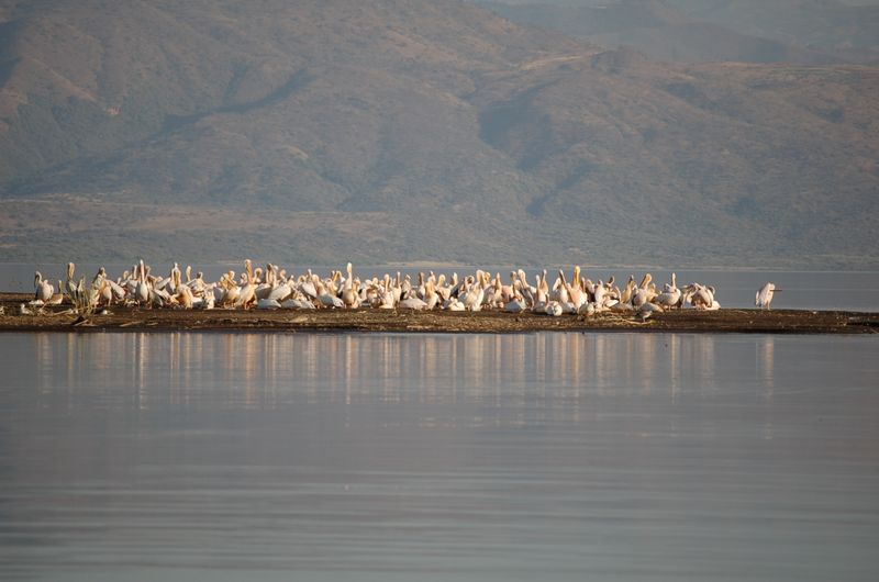 Safari Arba Minch -179.jpg