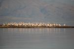 Safari Arba Minch -179.jpg
