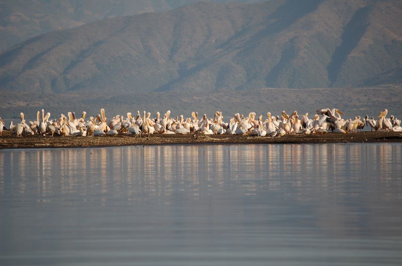 Safari Arba Minch -180.jpg