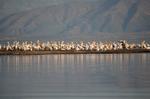 Safari Arba Minch -180.jpg